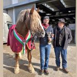 Amatrice a cavallo alla Fieracavalli 2024 di Verona